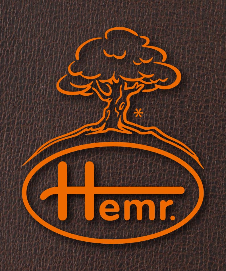 logo - logo_hvezdicka.jpg